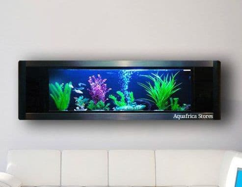 Aquarium