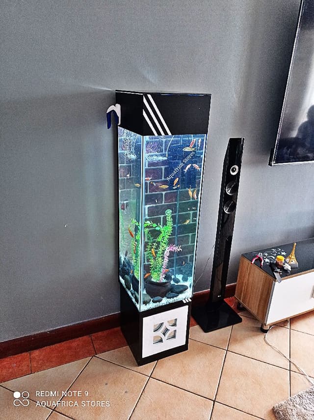 5Feet Tower Aquariums